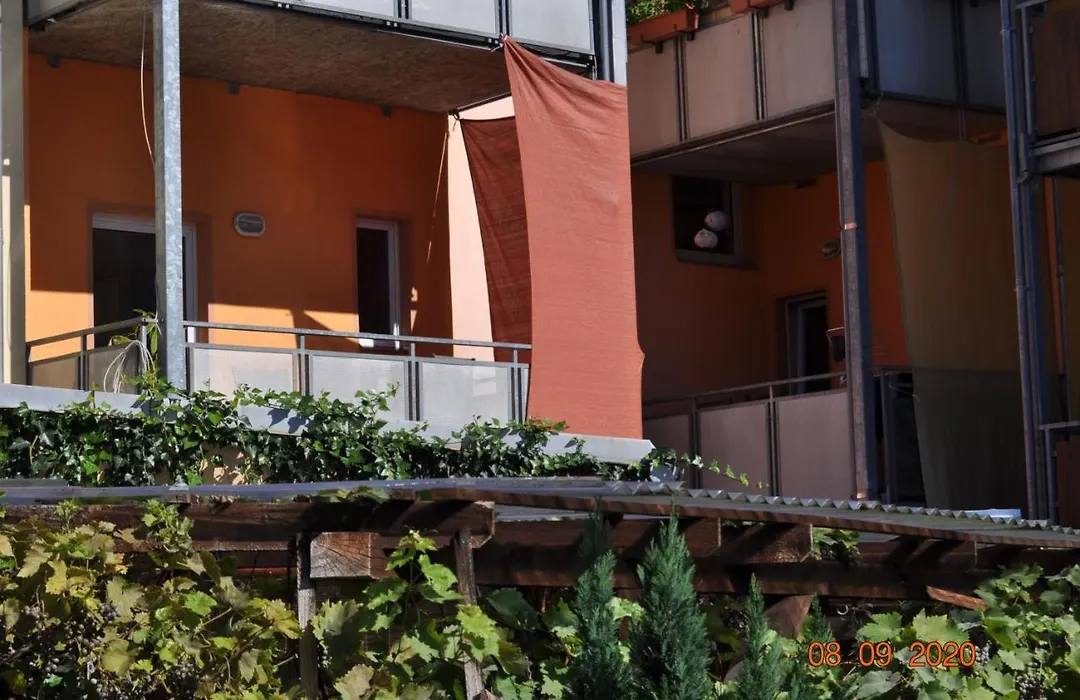 Pension Di Pino-1
